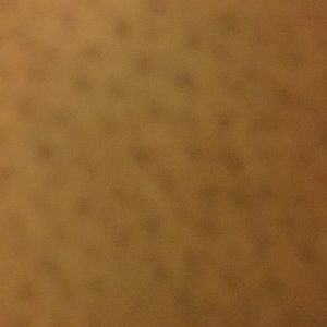 Meet your Posher, Ashly